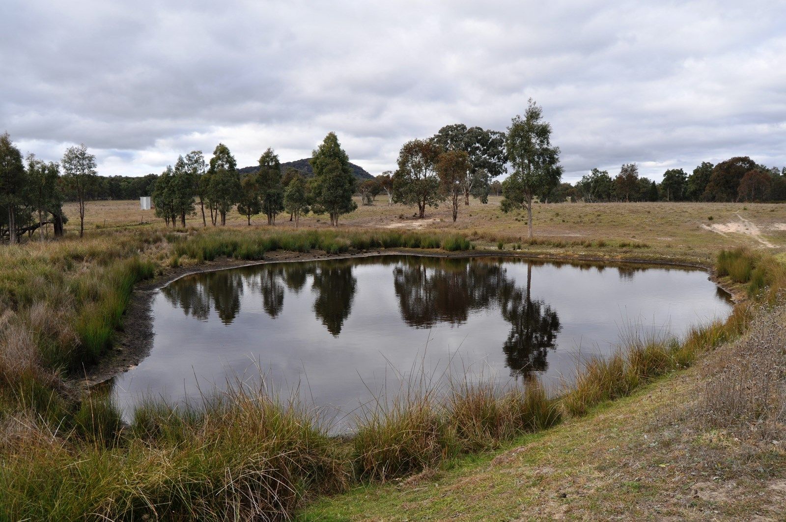 148 Drip Lane, Cooyal NSW 2850, Image 1