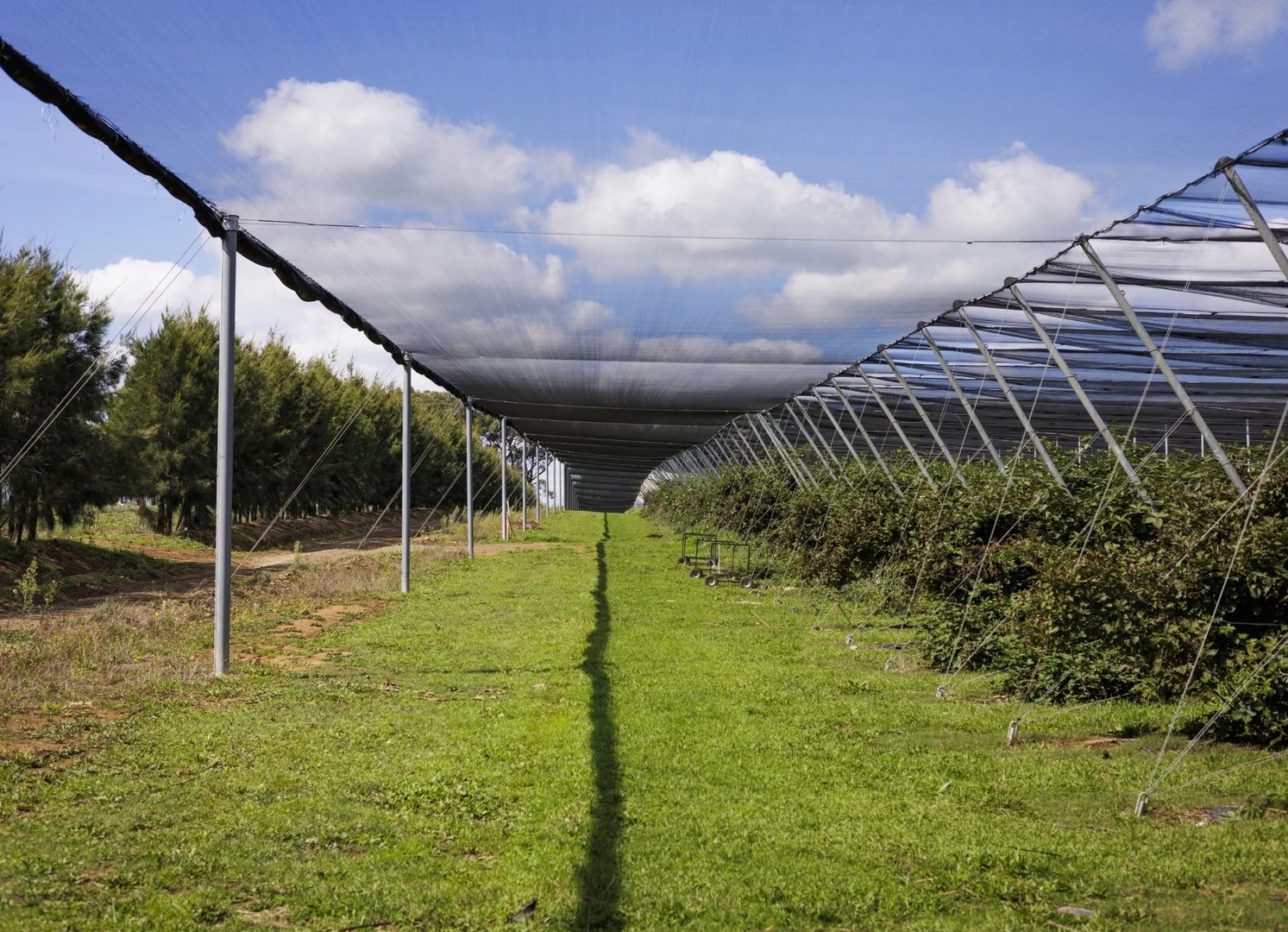 Additional image 24 of 1363 Whittlesea Yea Road, Kinglake West VIC 3757