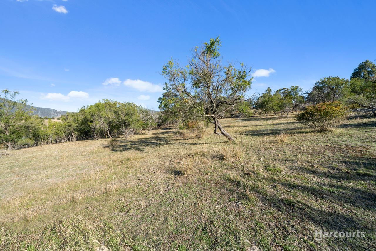 Lot 3 Glen Dhu Road, Molesworth TAS 7140, Image 2