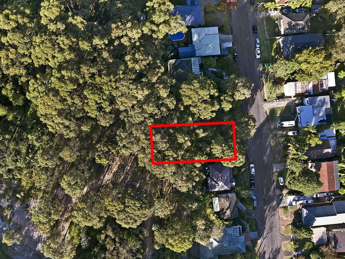 43 Platypus Road, Berkeley Vale NSW 2261, Image 2