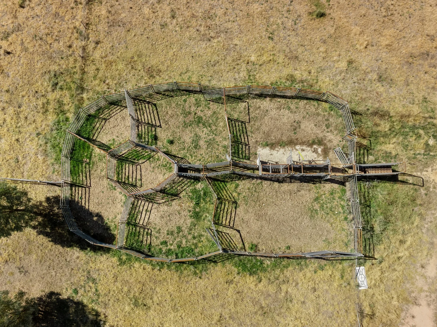 Image 25