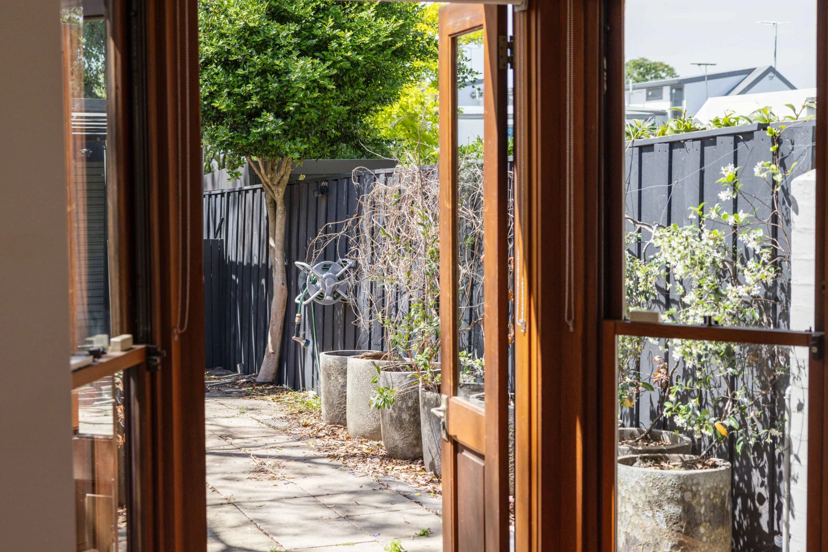 Additional image 15 of 23 Trafalgar Street, Annandale NSW 2038