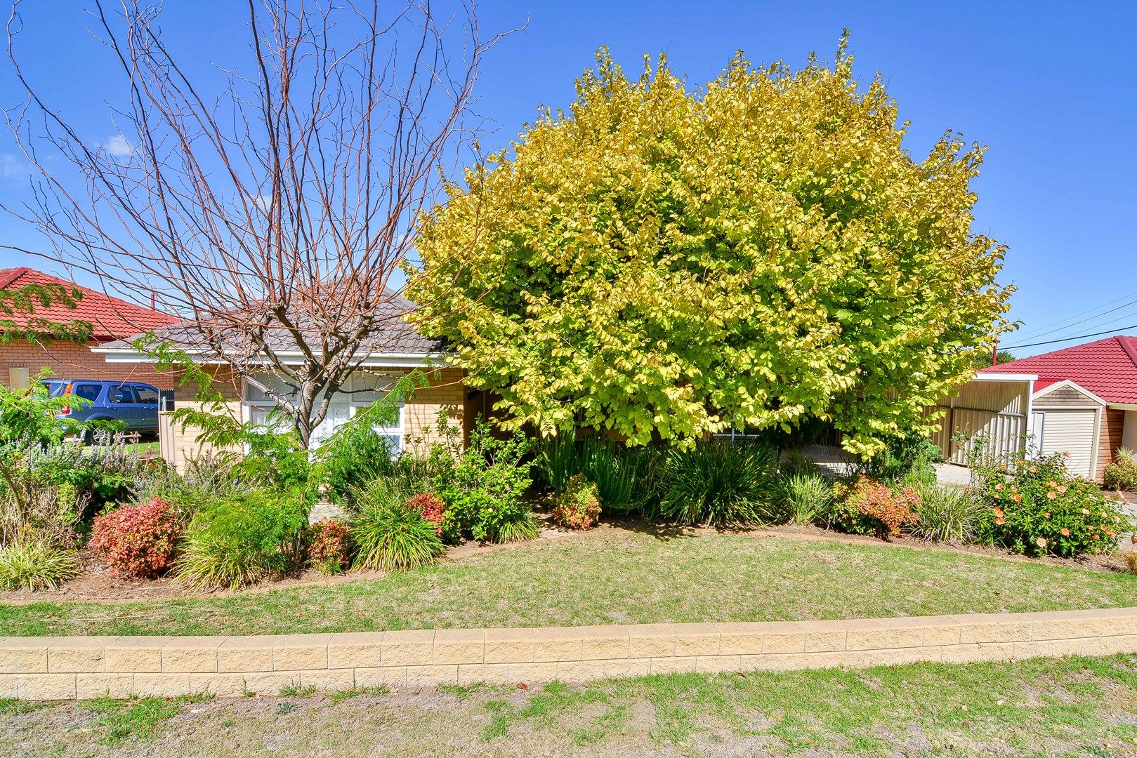 3 Riesling Ave, Reynella East SA 5161, Image 0