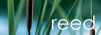 Reed Partners Property logo