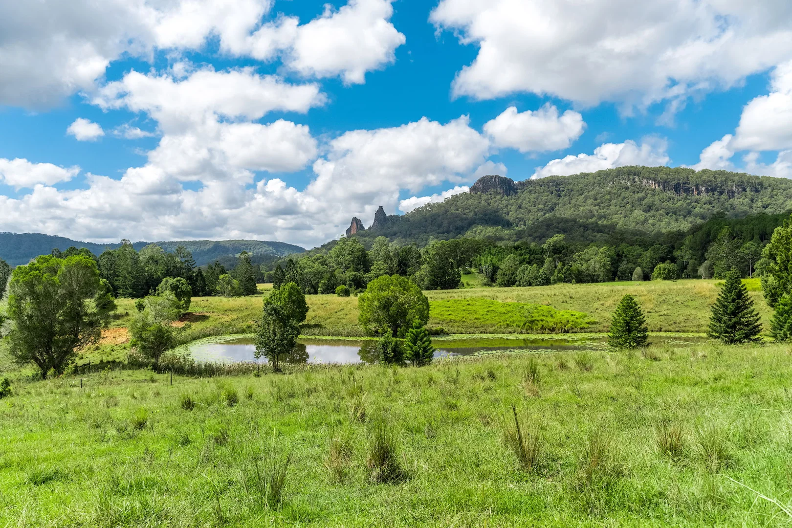 Additional image 26 of 219 Stony Chute Road, Nimbin NSW 2480