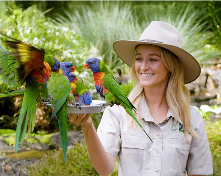 Additional image 29 of 22 TOMEWIN STREET, Currumbin QLD 4223