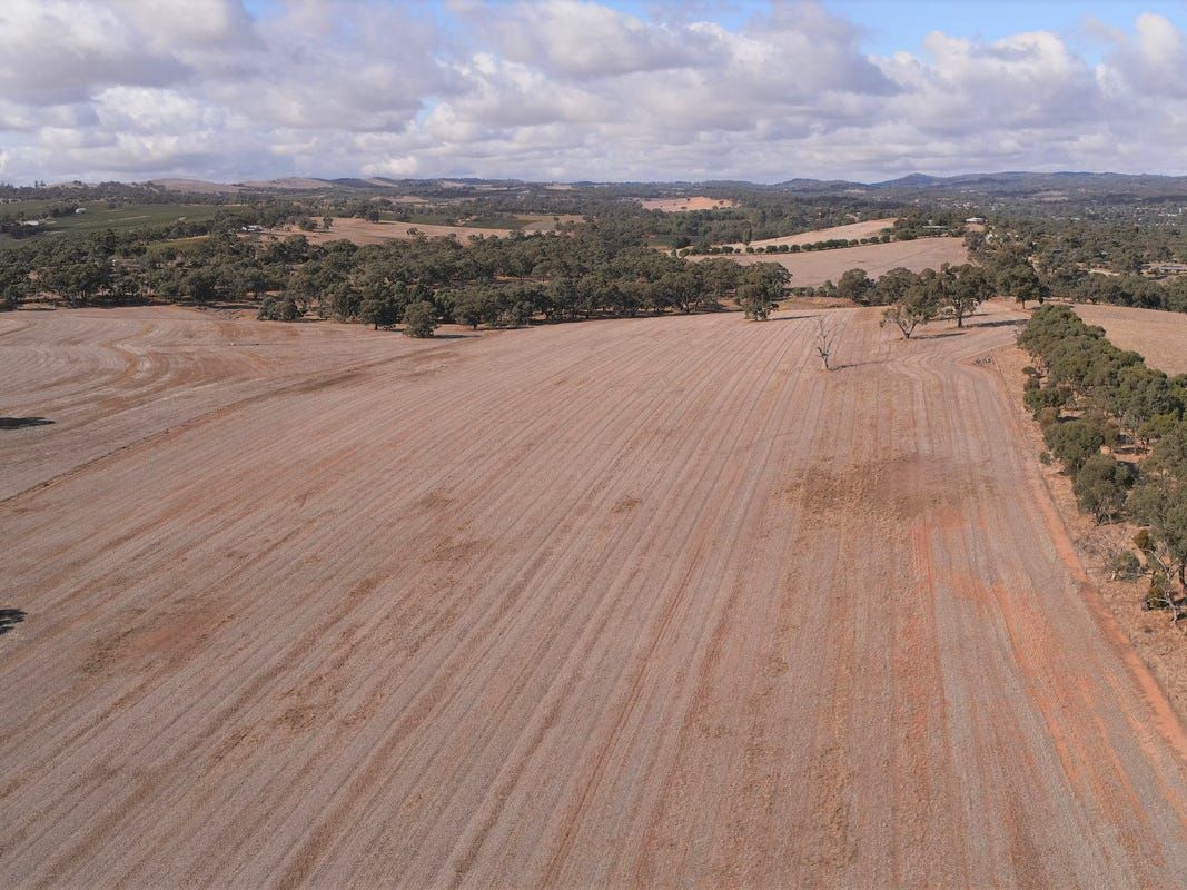 Vacant land in Lot 2 Lot 2 Hubbe Road, STANLEY FLAT SA, 5453