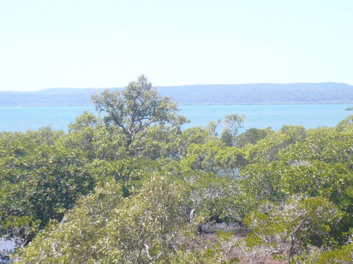 10 Boat Harbour Drive, Macleay Island QLD 4184, Image 1