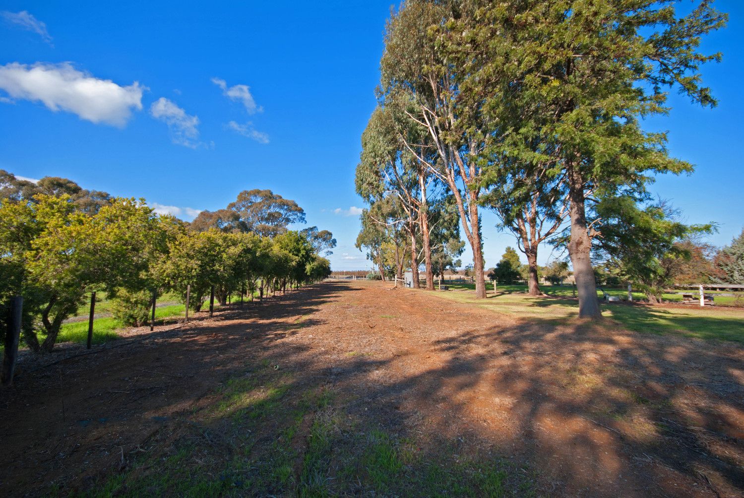 170 Girgarre East Road, Tatura VIC 3616, Image 2