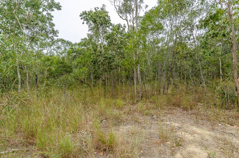 Lot 4 Smyths Road, Freshwater Point QLD 4737, Image 2
