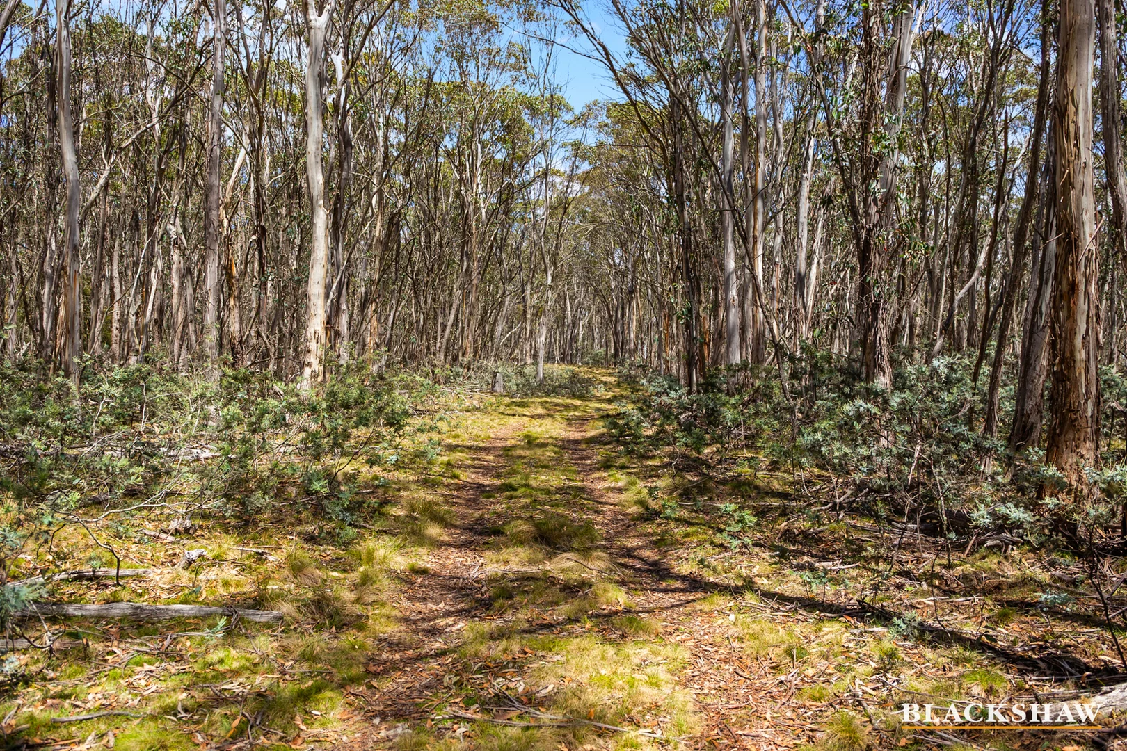 Additional image 20 of Lot 18+19 Calabash Road, Tinderry NSW 2620