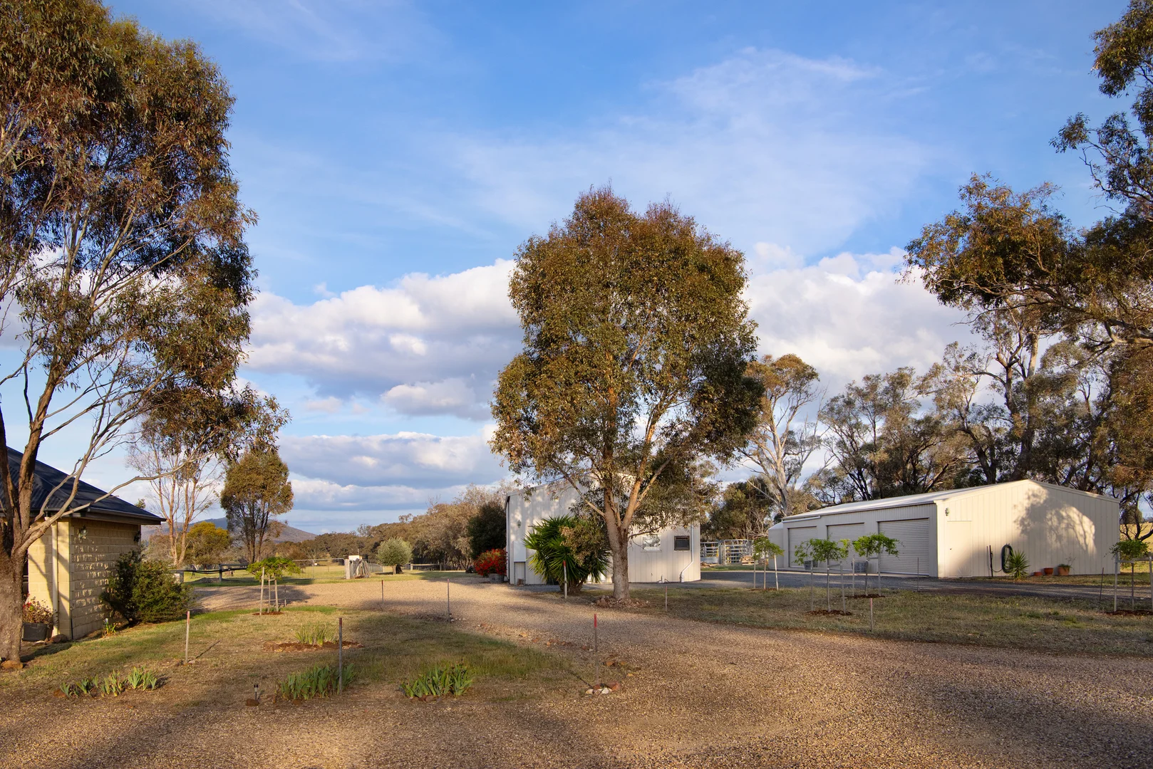 Image 14