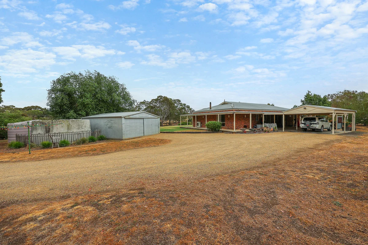 Image 15