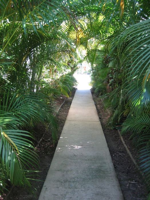 4/13 Toohey Street, Cardwell QLD 4849 Apartment For Rent 300 Domain