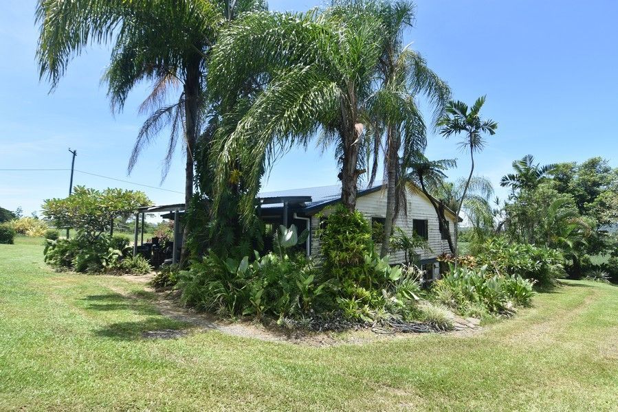 49 Bilic Road, El Arish QLD 4855, Image 2