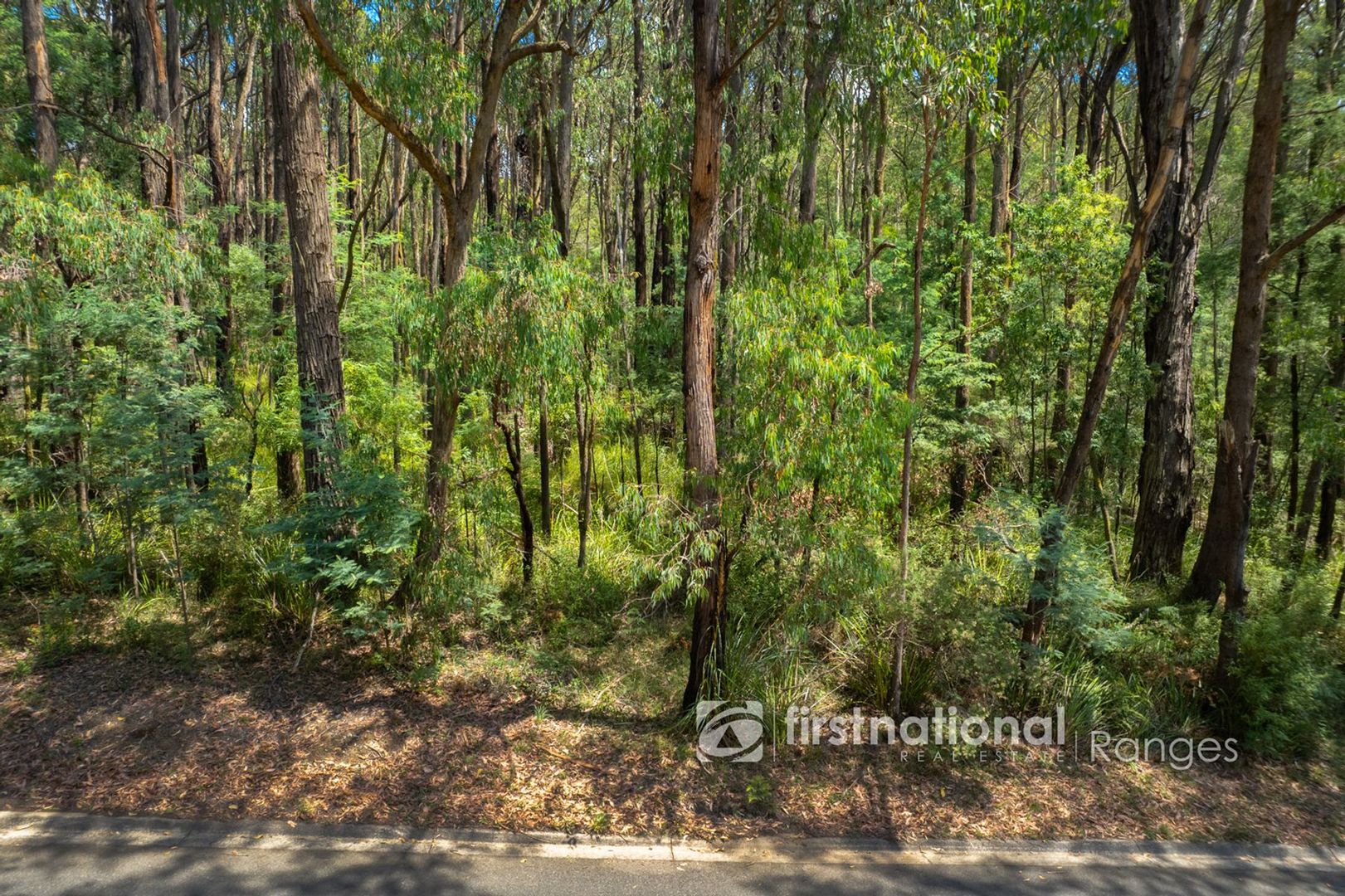 2780 Gembrook-Launching Place Road, Gembrook VIC 3783, Image 1
