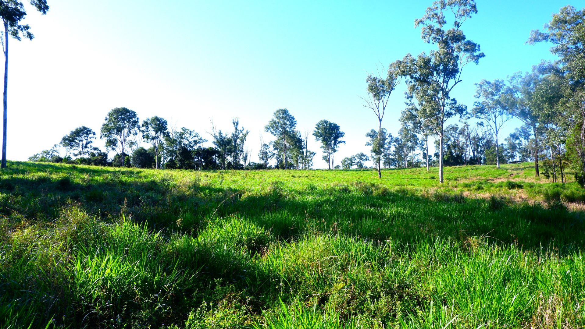 16 Nielsons Road, Good Night QLD 4671 House for Sale 800,000