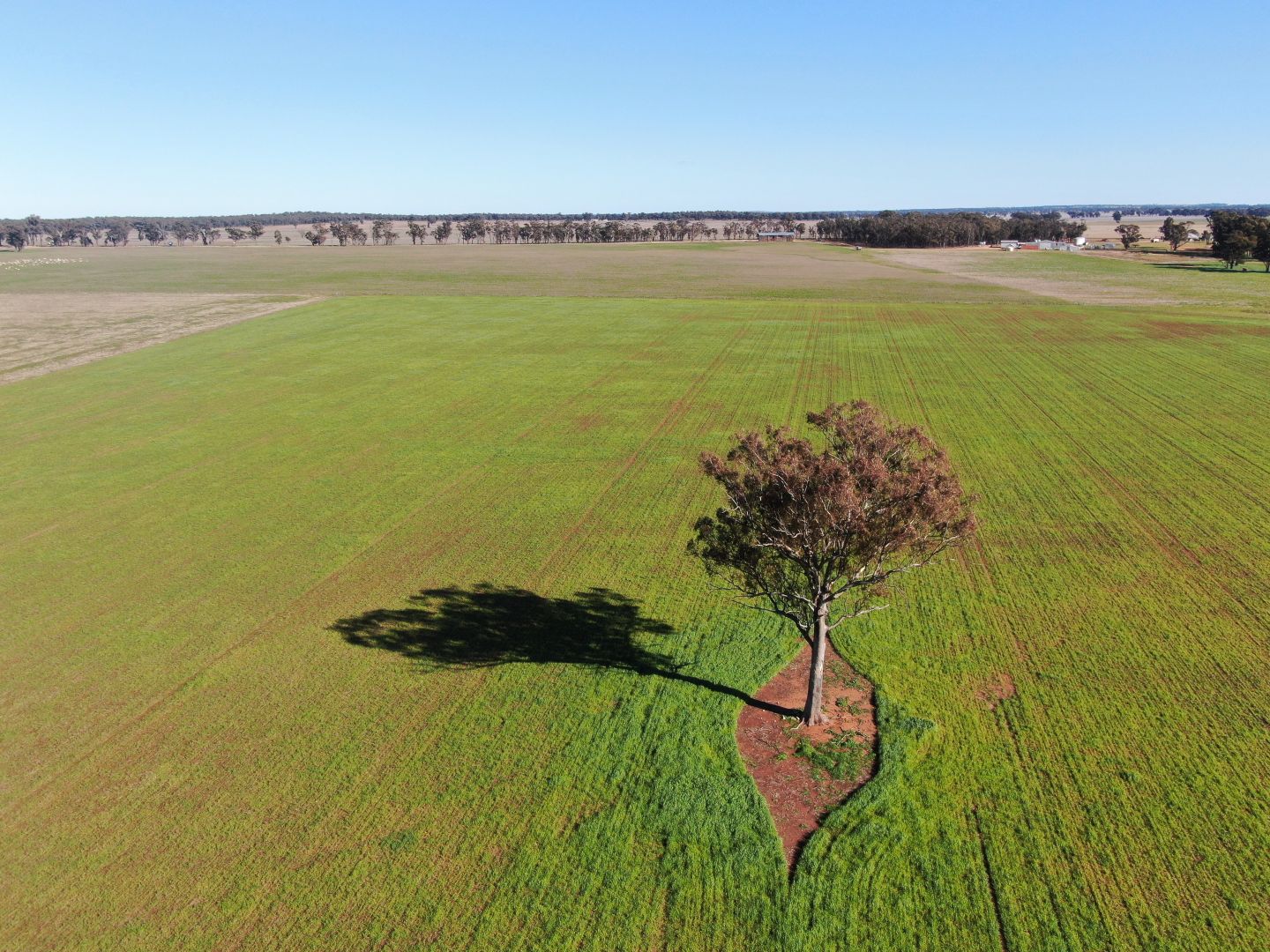 'Glenearra', 1168 Schmidts Lane, Gidginbung NSW 2666, Image 1