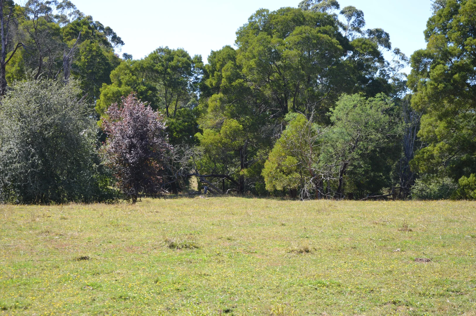 Additional image 18 of 790 Soldiers Road, Poowong VIC 3988