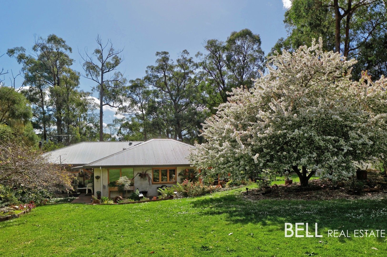 23 Williamson Road, Gembrook VIC 3783, Image 0