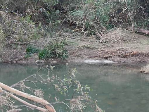 Additional image 10 of 127 Tobins River Road, Mount Seaview NSW 2446