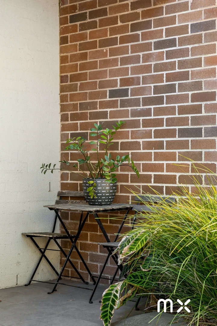 Image 15