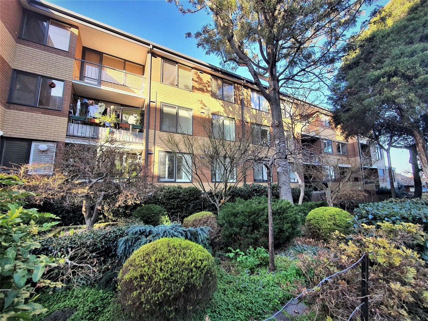 1 bedrooms Apartment / Unit / Flat in 25/41 Alma Road ST KILDA VIC, 3182