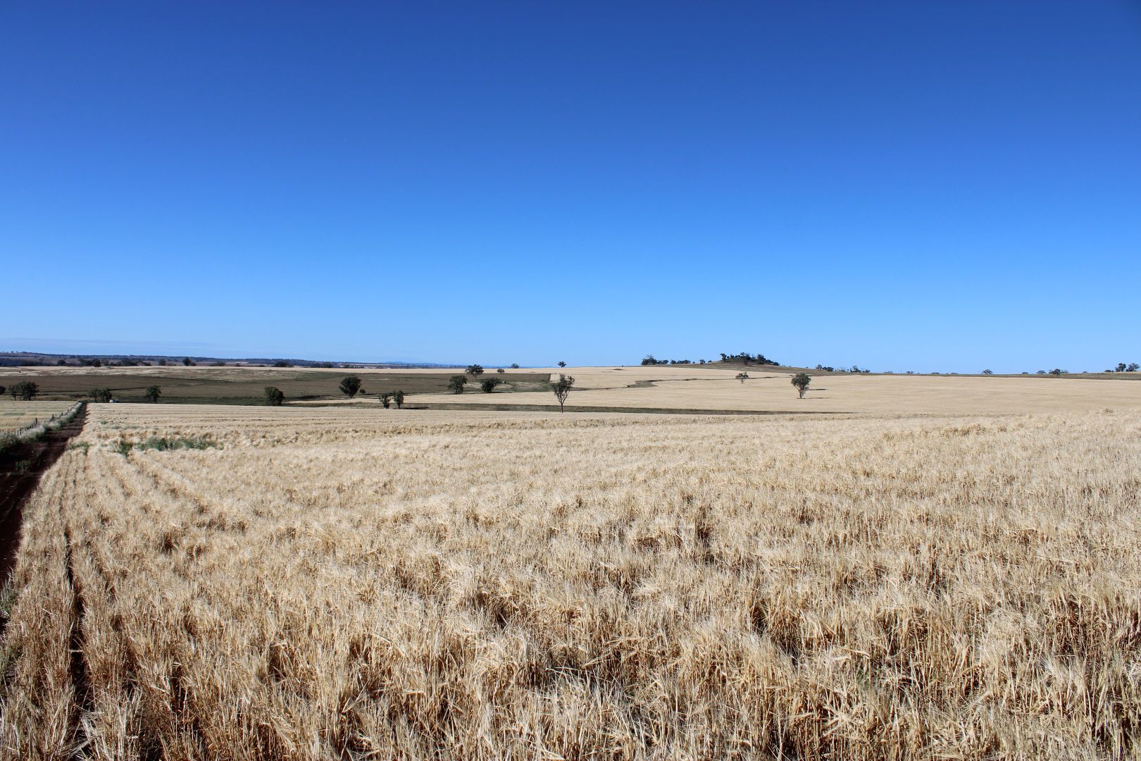 Lot 1 Glenesk Road, Inverell NSW 2360, Image 1