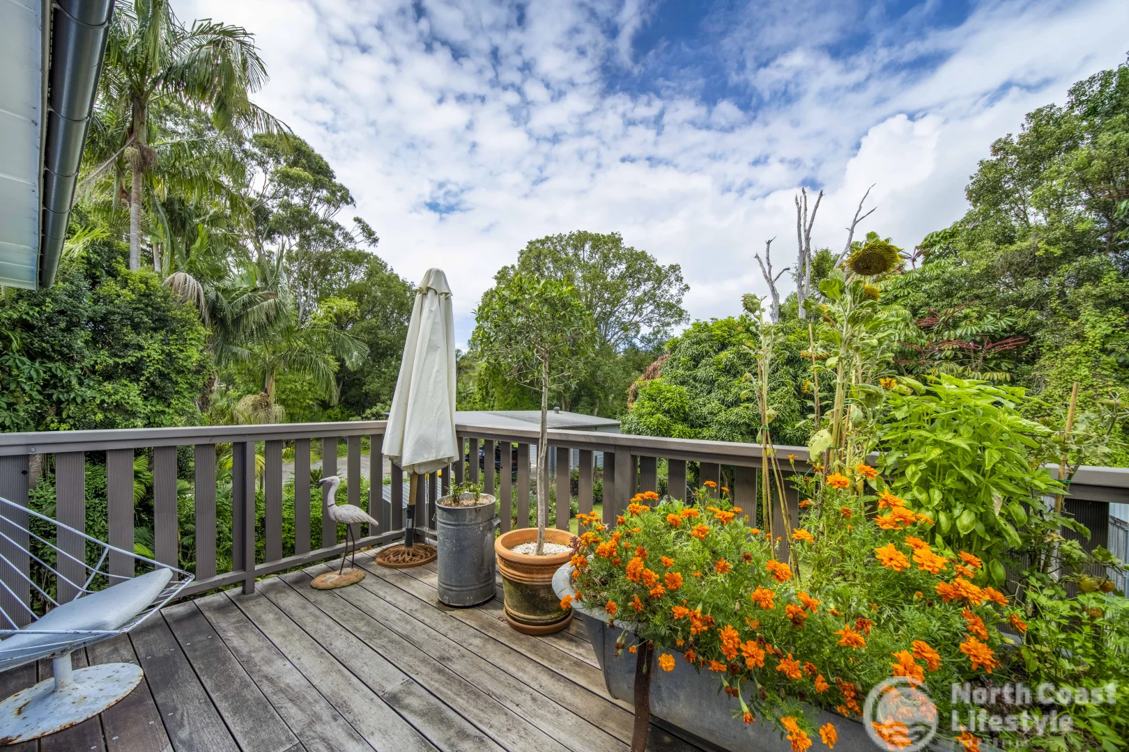 Additional image 12 of 8 Wilfred Street, Billinudgel NSW 2483
