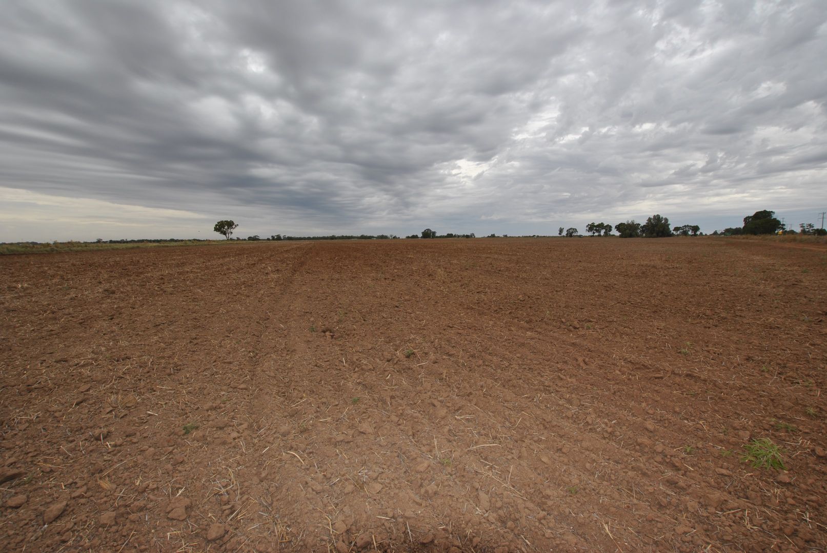 Farm 919 Irrigation Way, Whitton NSW 2705, Image 1