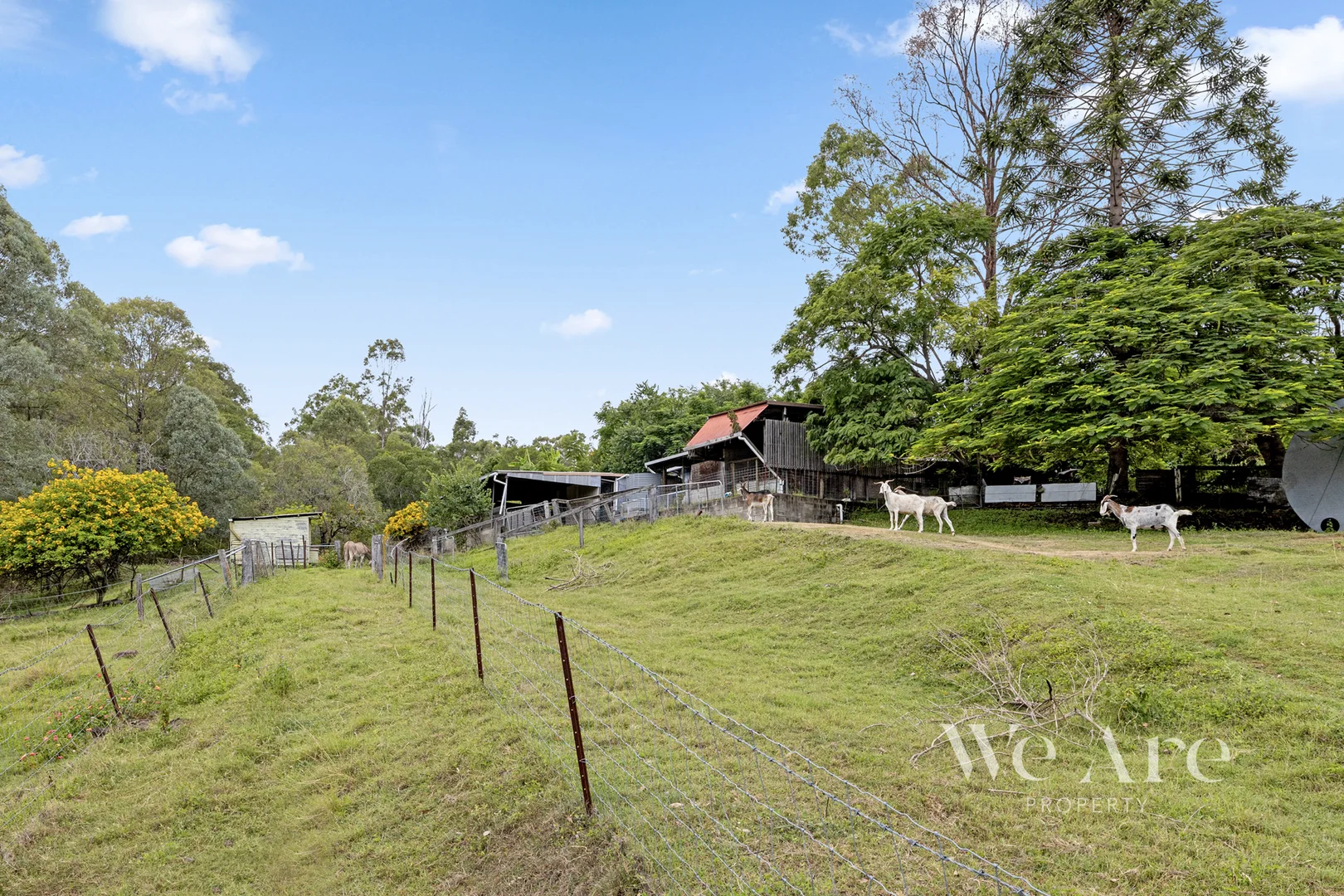 Additional image 32 of 330 Dennis rd, Cedar Vale QLD 4285