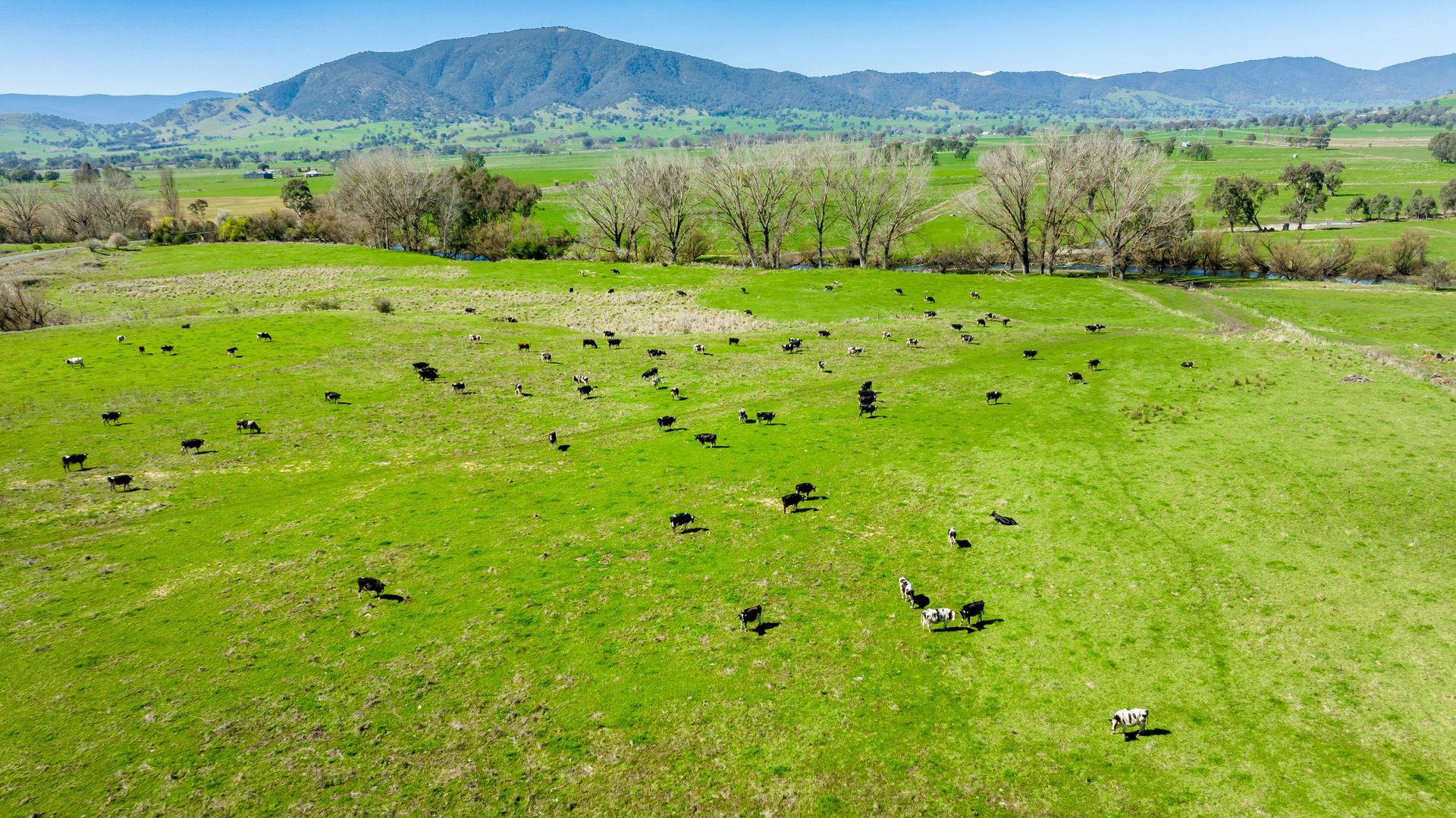 OVER THE CREEK, Corryong VIC 3707, Image 2