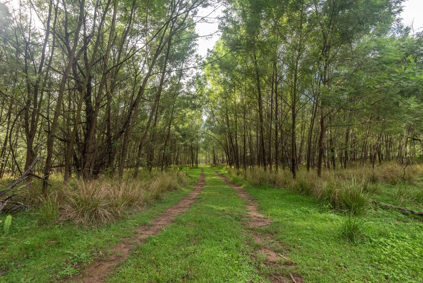 Additional image 6 of 2600 Araluen Road, Deua River Valley NSW 2537