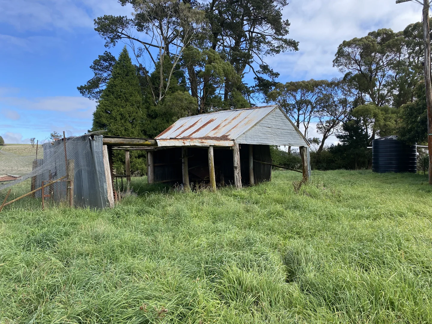 Image 6