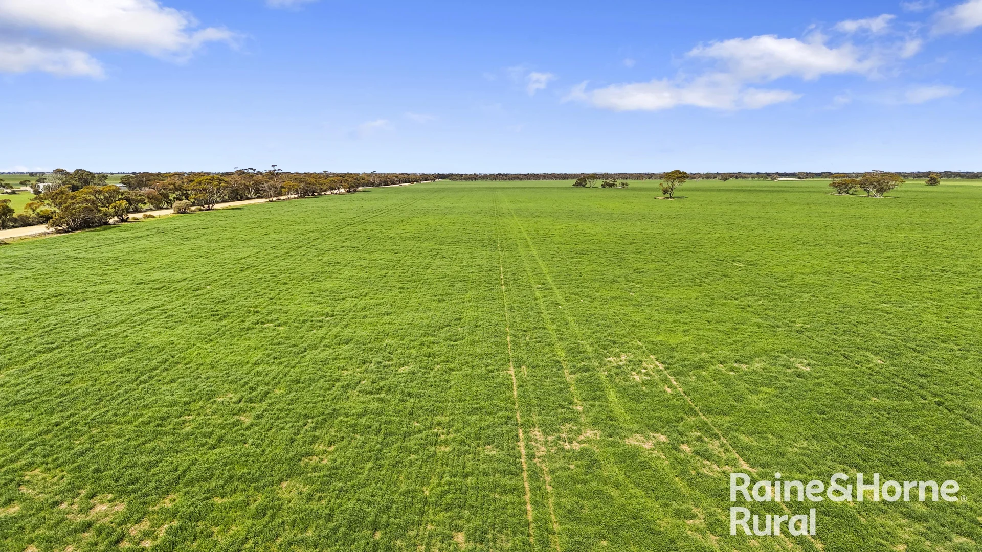 Additional image 40 of 714 Buccleuch South Road, Yumali SA 5261