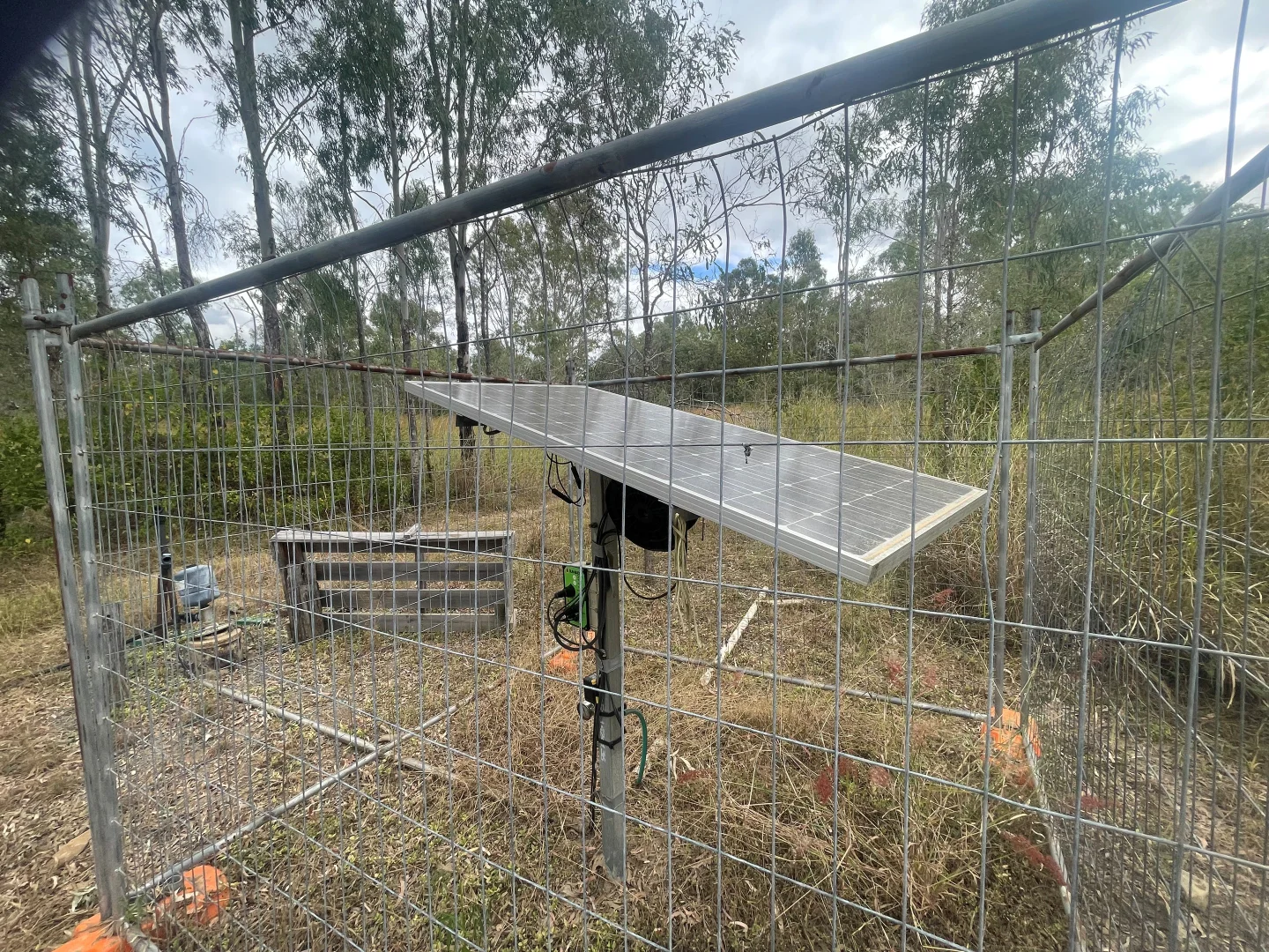 Image 11