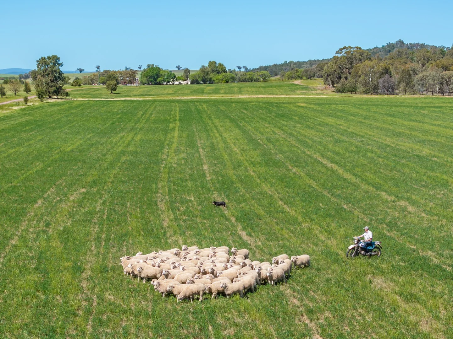 92 Campbells Lane, Canowindra NSW 2804
