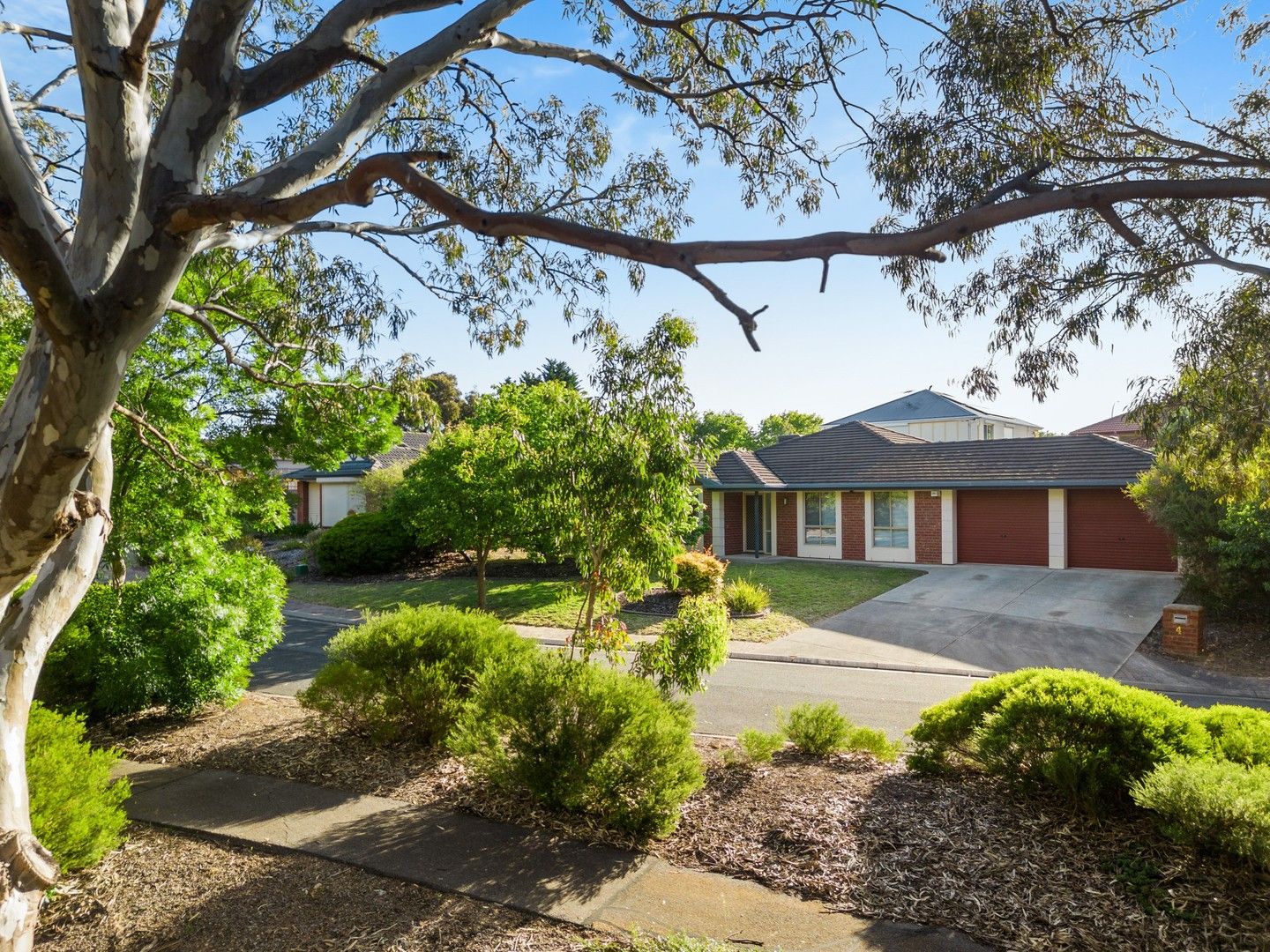 4 Glenview Grove, Seaford Rise SA 5169, Image 0