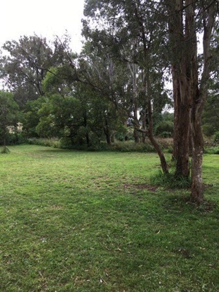 Lot 80 Barlows Gate Road, Lower Acacia Creek NSW 2476, Image 2