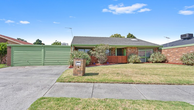 Picture of 14 Jacksons Road, CHELSEA VIC 3196