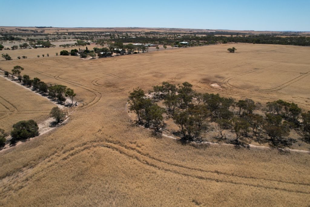 33 Jones Street, Dowerin WA 6461 House for Sale 750,000 Domain