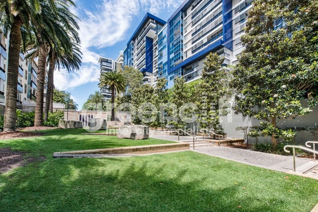 Additional image 14 of 3 Sterling Cct, Camperdown NSW 2050