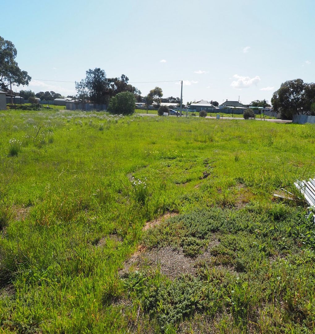 Lot 11 Pretoria Street, Tailem Bend SA 5260, Image 1