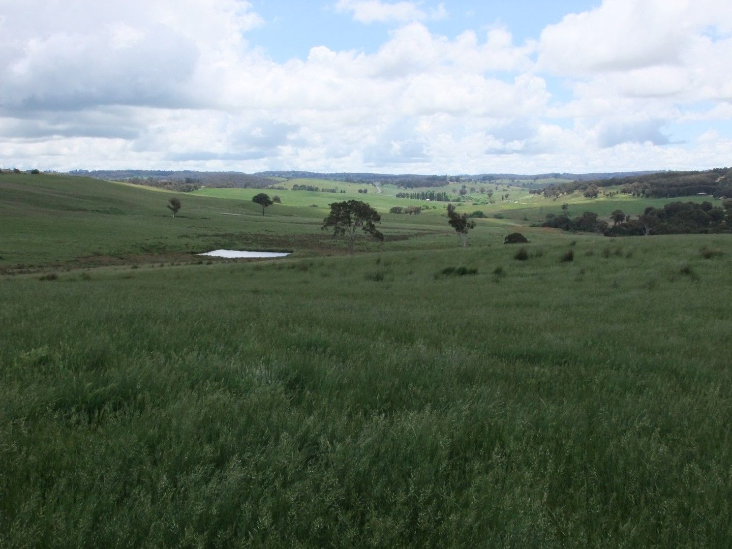 Part Red Hill Triangle Flat Road, Bathurst NSW 2795, Image 0