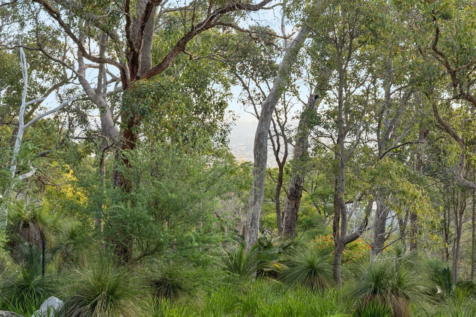 Image 19