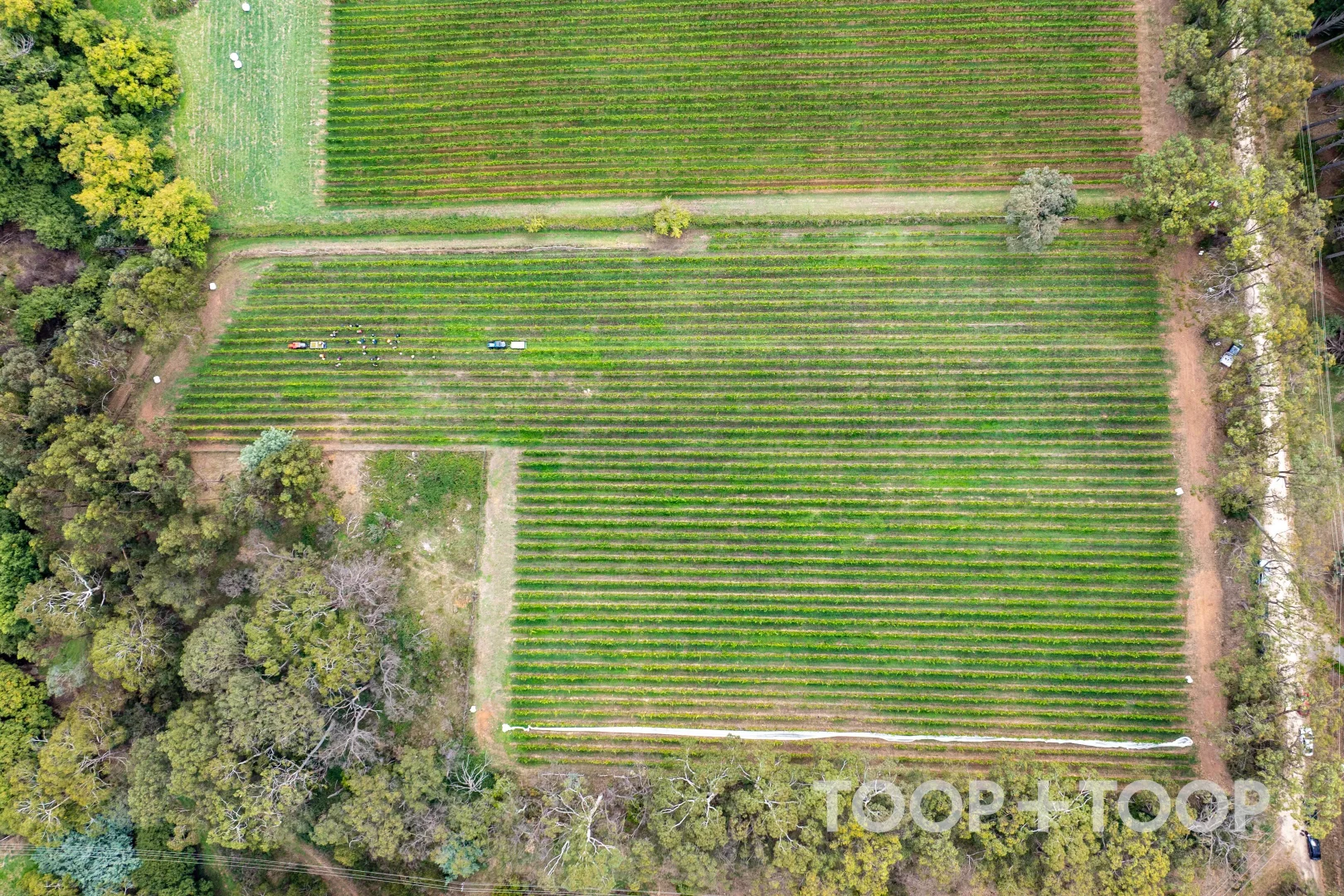 Additional image 16 of 12 Udys Road, Piccadilly SA 5151