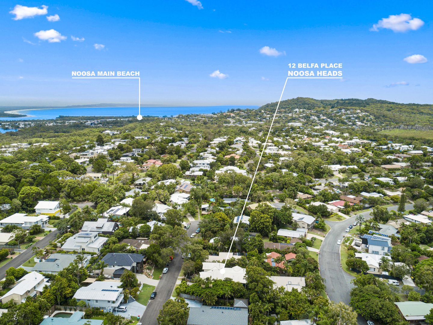 12 Belfa Place, Noosa Heads QLD 4567, Image 1