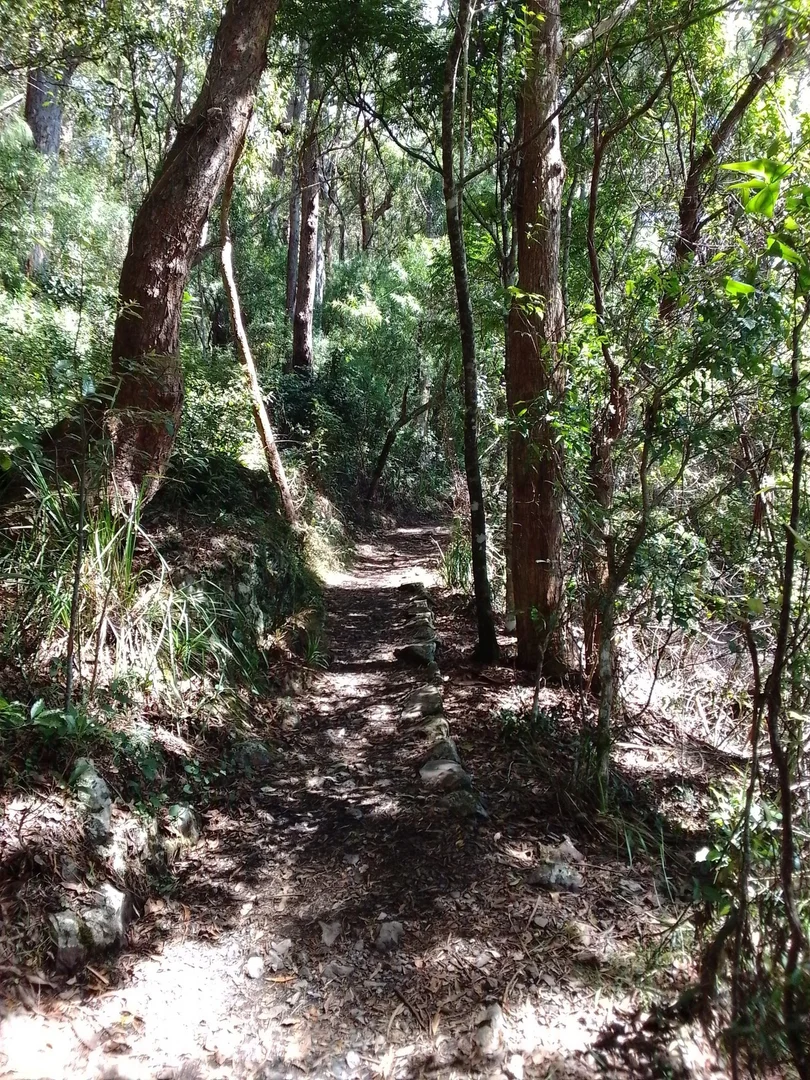 Additional image 14 of 2195 Springbrook Road, Springbrook QLD 4213