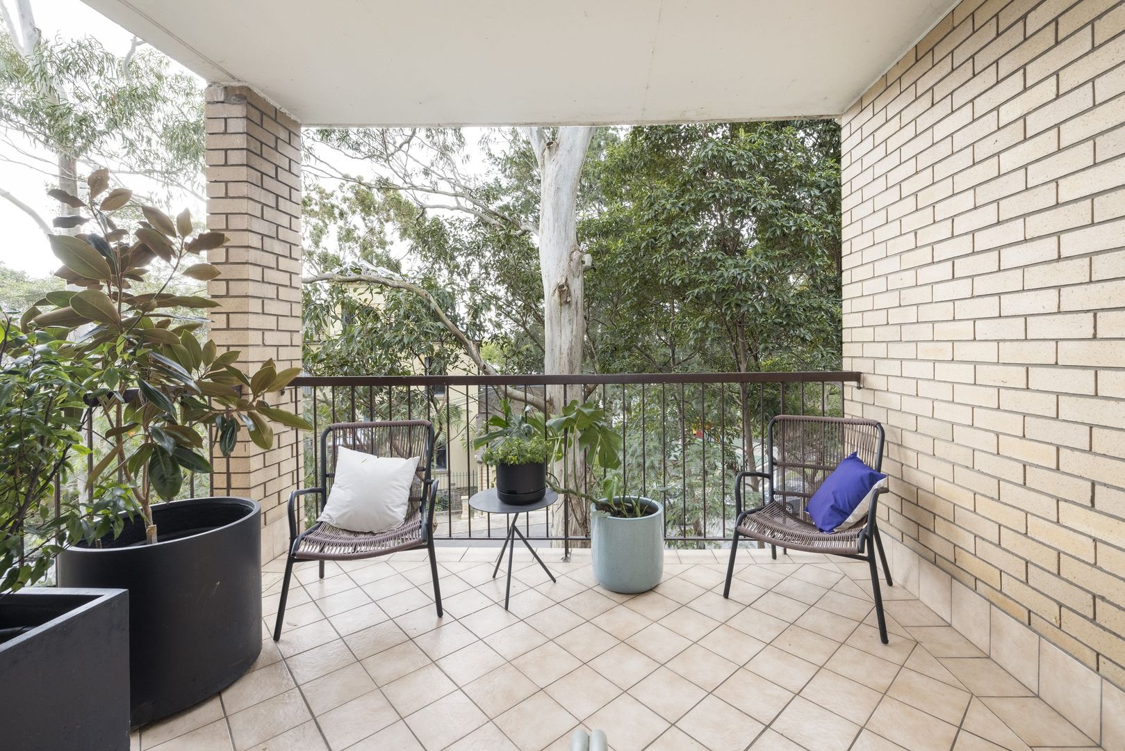 11/29 Leichhardt Street, Glebe NSW 2037, Image 1