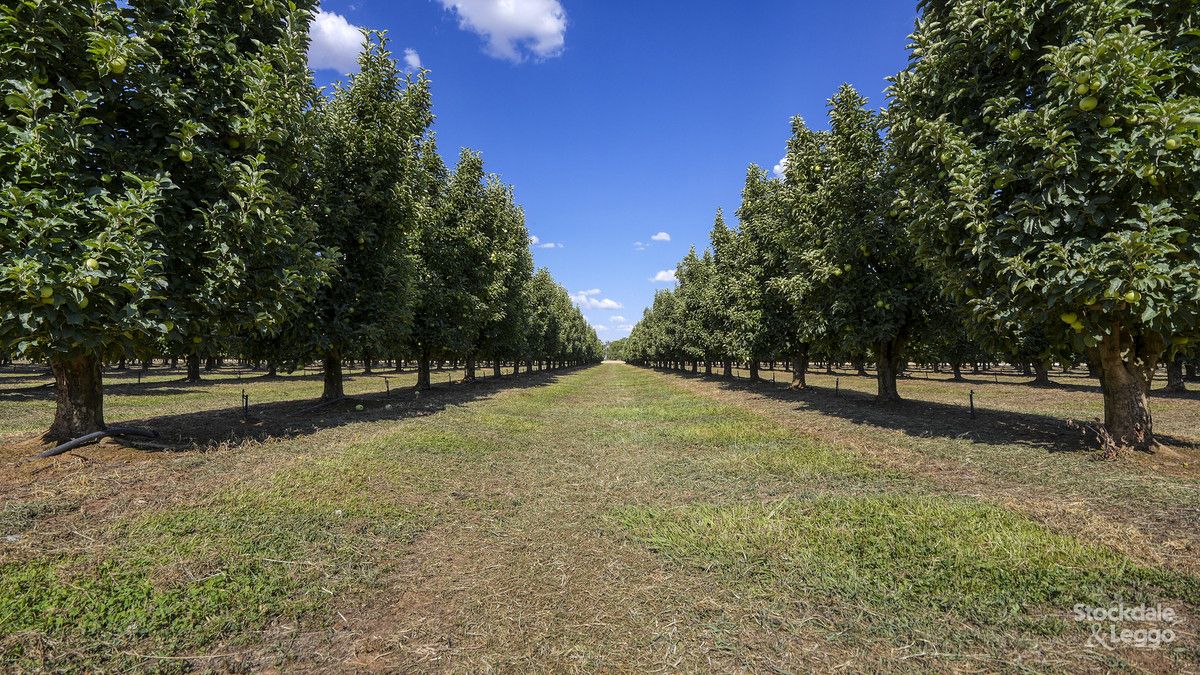 970 Byrneside Kyabram Road, Merrigum VIC 3618 House for Sale